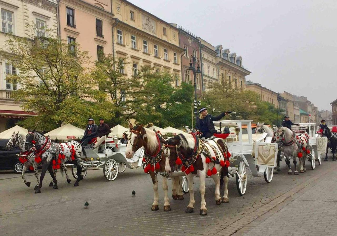 Studio Appartment In Old Town Krakow — Zdjęcia 2